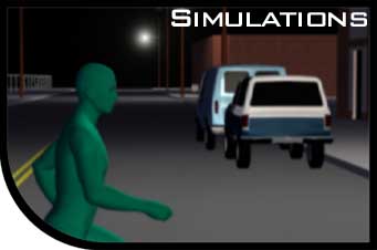 Simulation